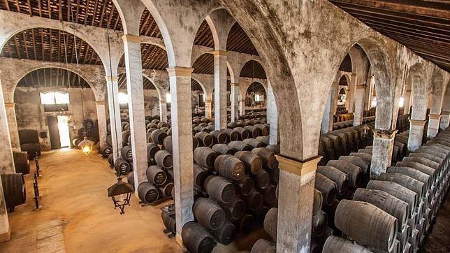bodegas