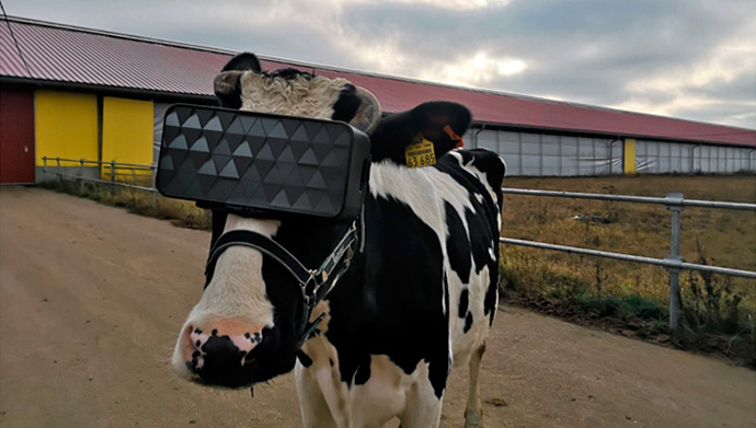Prototipo de las gafas de realidad virtual desarrolladas en Rusia (Foto: Ministerio de Agricultura de Rusia)