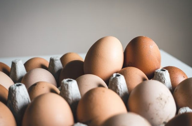 huevos ecológicos