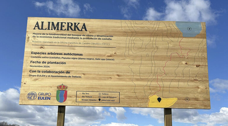 bosque zamora