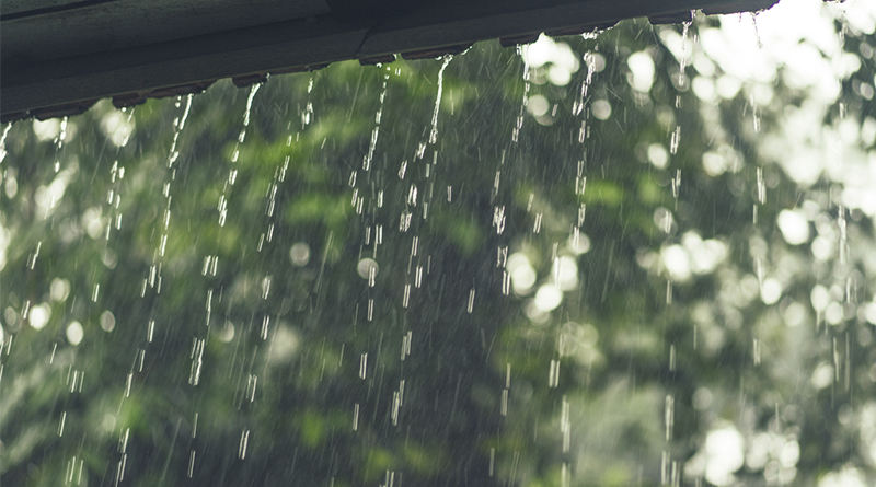 Uno de los efectos más visibles de estas lluvias es el incremento en la compra de bombas sumergibles, necesarias para extraer agua de pozos