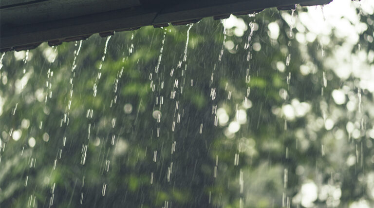 Uno de los efectos más visibles de estas lluvias es el incremento en la compra de bombas sumergibles, necesarias para extraer agua de pozos