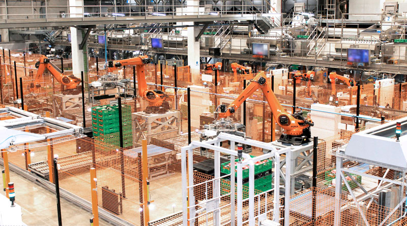 Somos Hijolusa cierra ejercicio con un 4% más de ventas